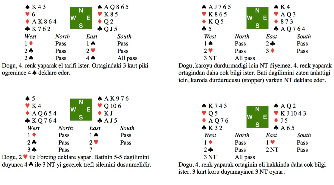 4. renk örnekleri: dört deklarasyon